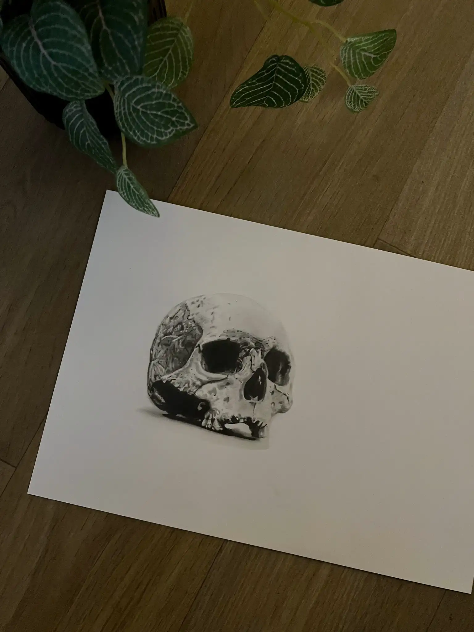Dotwork Tattoos